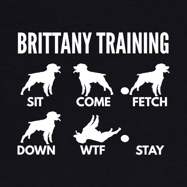 Brittany Training Brittany Spaniel Tricks by DoggyStyles